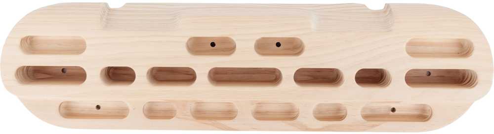 Evolver Training Board harjoituslauta