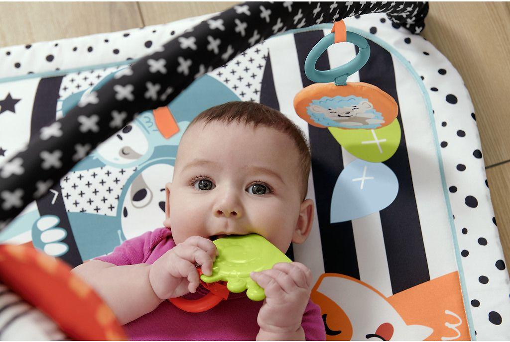 Fisher Price FP veiklos kilimėlis su šviečiančiu ir grojančiu gyvūnėliu