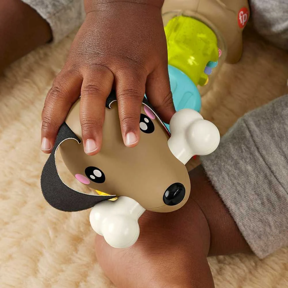 Mattel Fisher - price veikos šunelis
