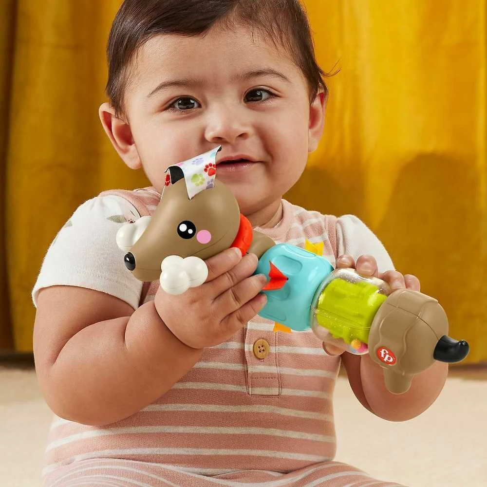 Mattel Fisher - price veikos šunelis