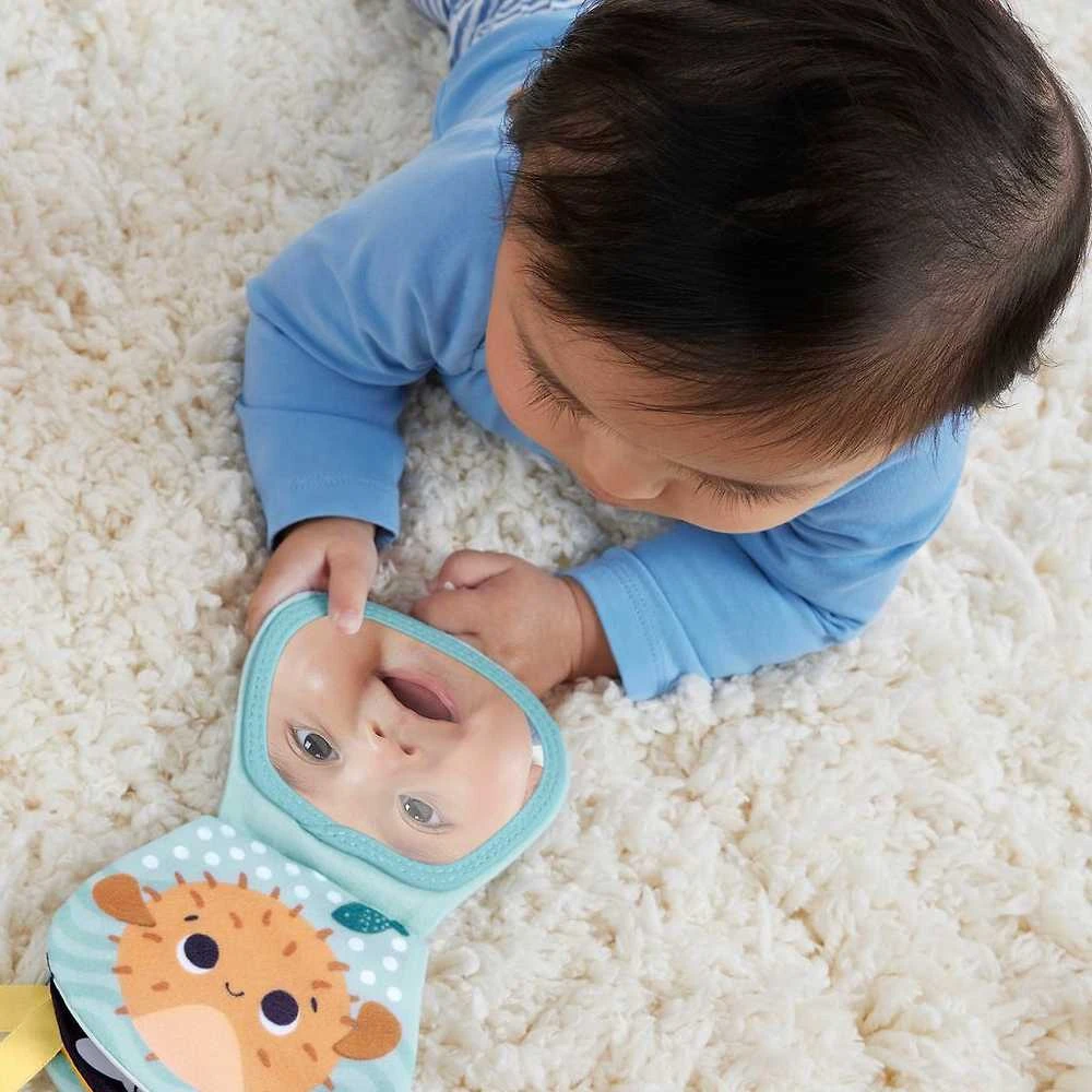Mattel Fisher Price Sensimals veiklos pliušinis ūdras