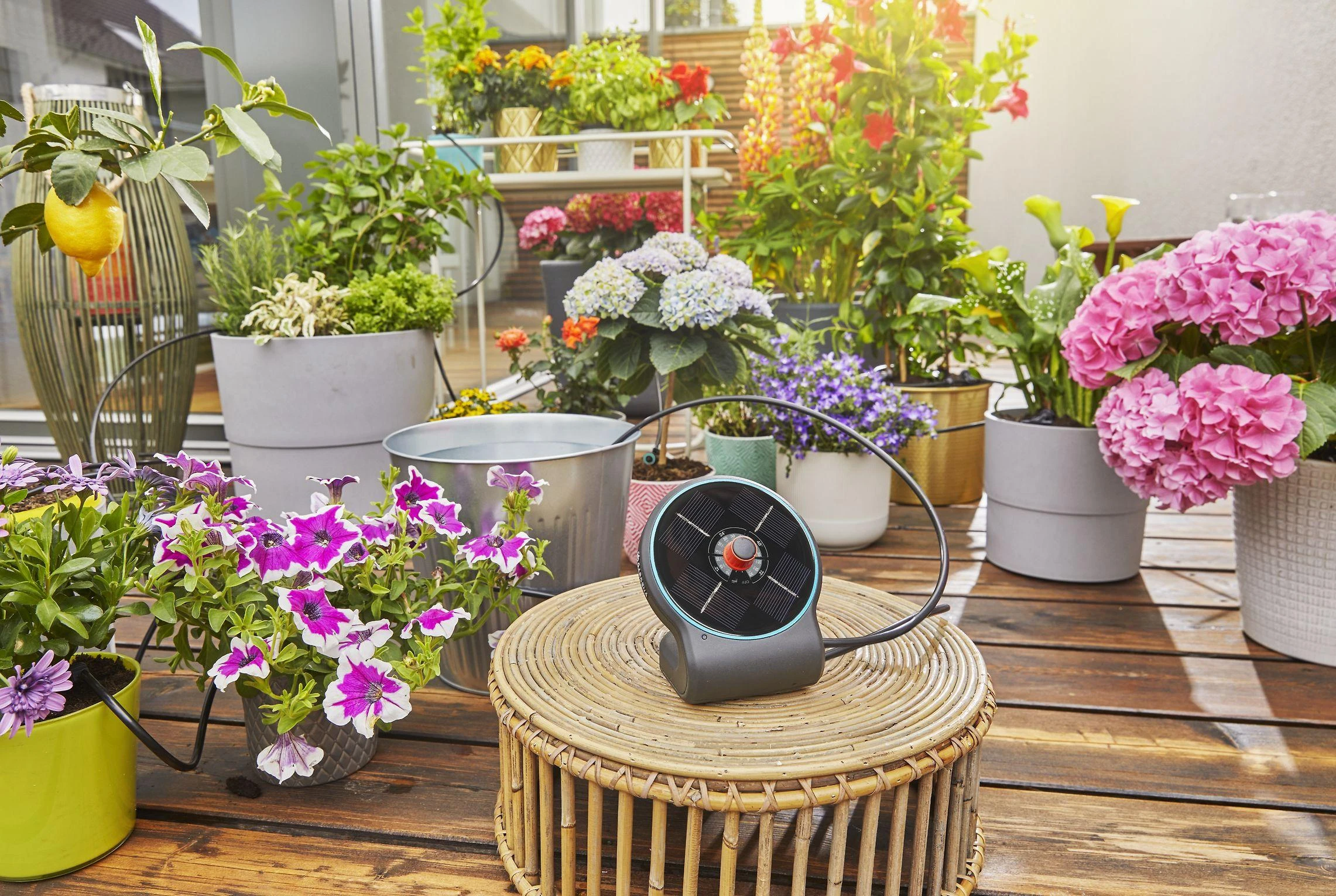 Saulės energija palaikomas rinkinys laistymui Gardena „AquaBloom“ 13300-20, 967999001