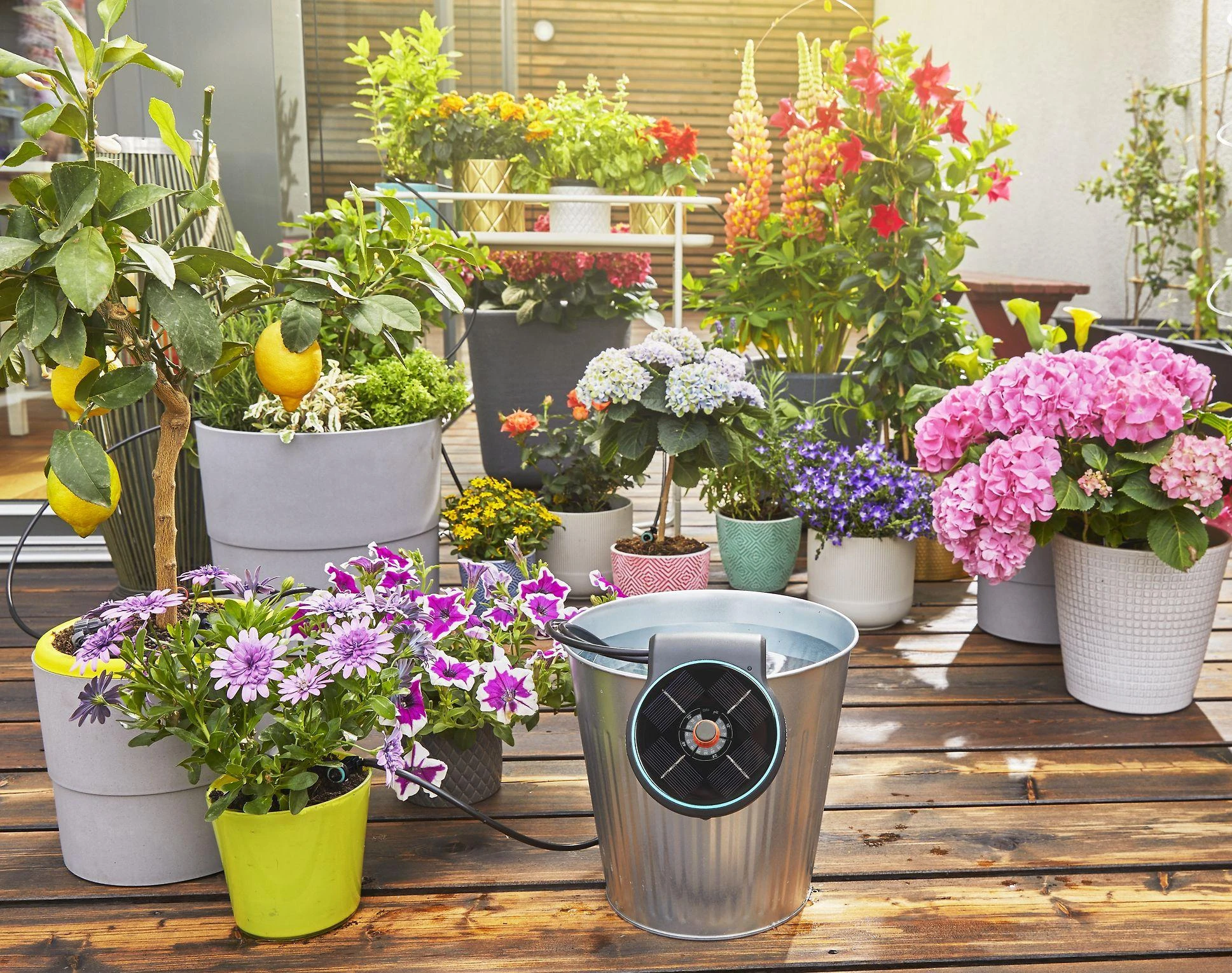 Saulės energija palaikomas rinkinys laistymui Gardena „AquaBloom“ 13300-20, 967999001