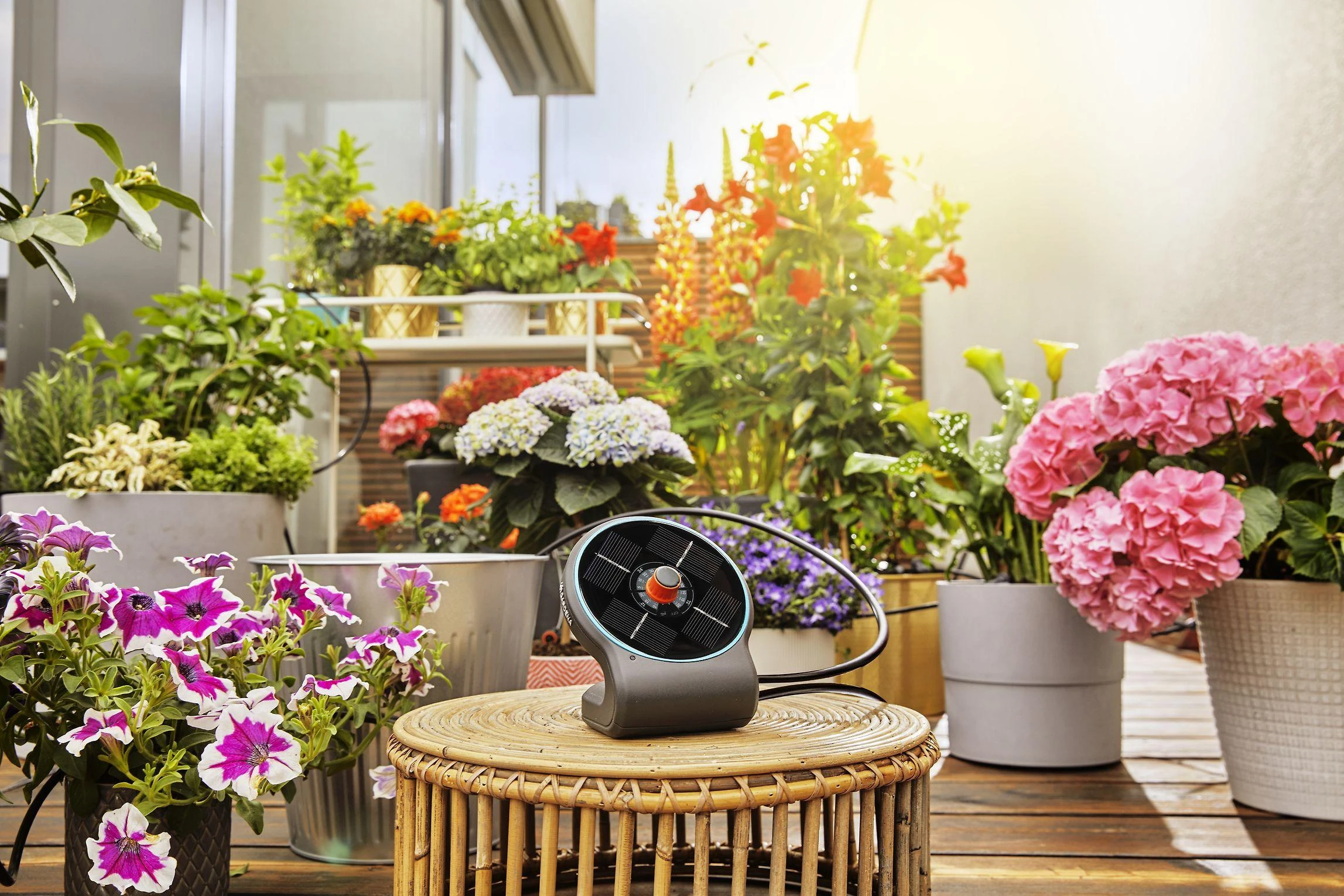 Saulės energija palaikomas rinkinys laistymui Gardena „AquaBloom“ 13300-20, 967999001