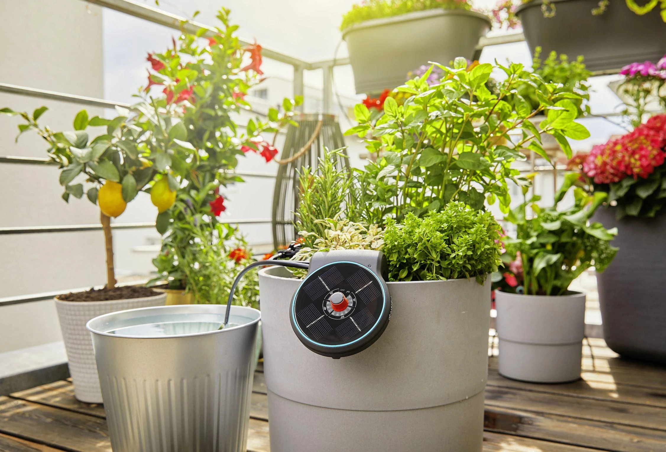 Saulės energija palaikomas rinkinys laistymui Gardena „AquaBloom“ 13300-20, 967999001
