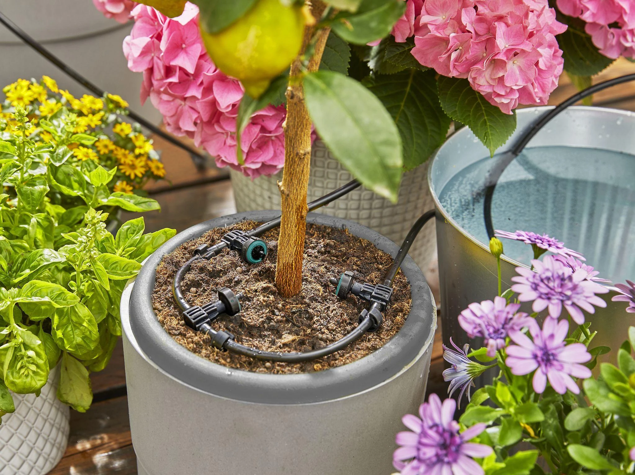 Saulės energija palaikomas rinkinys laistymui Gardena „AquaBloom“ 13300-20, 967999001