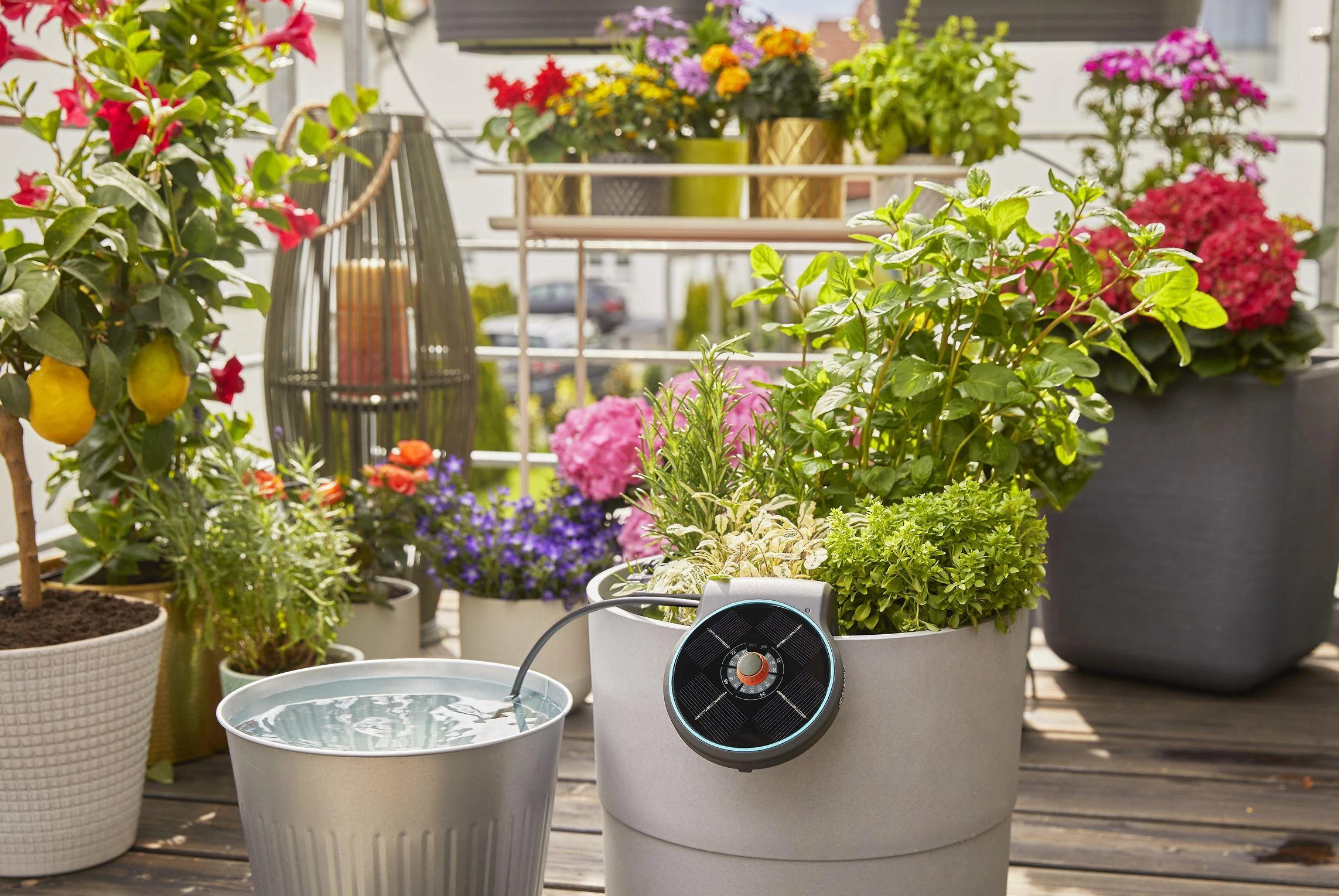 Saulės energija palaikomas rinkinys laistymui Gardena „AquaBloom“ 13300-20, 967999001