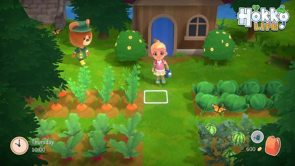 „Hokko Life“ – „Nintendo Switch“