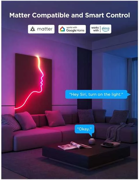 Govee LED juostelė 3m H61D3301 neoninė virvė 2