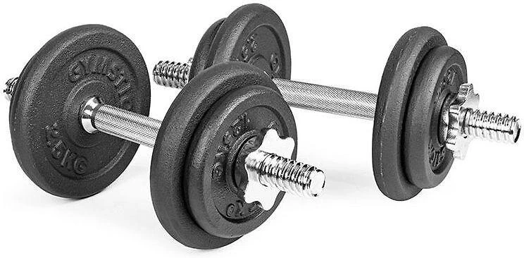 Ketaus hantelių rinkinys GYMSTICK 20kg