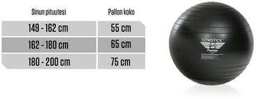Gymstick Gimnast. kamuolys 55cm