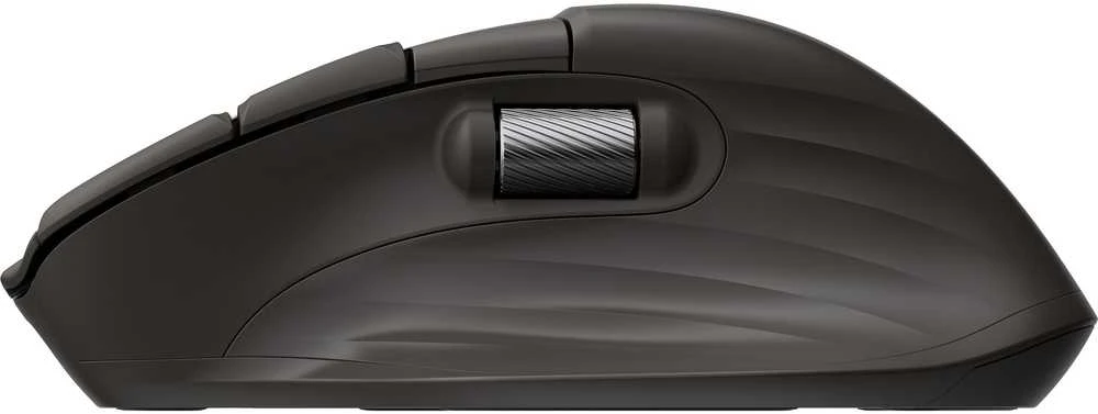Hewlett Packard (HP) HP Ultra-Fast Scroll Belaidė pelė 785M