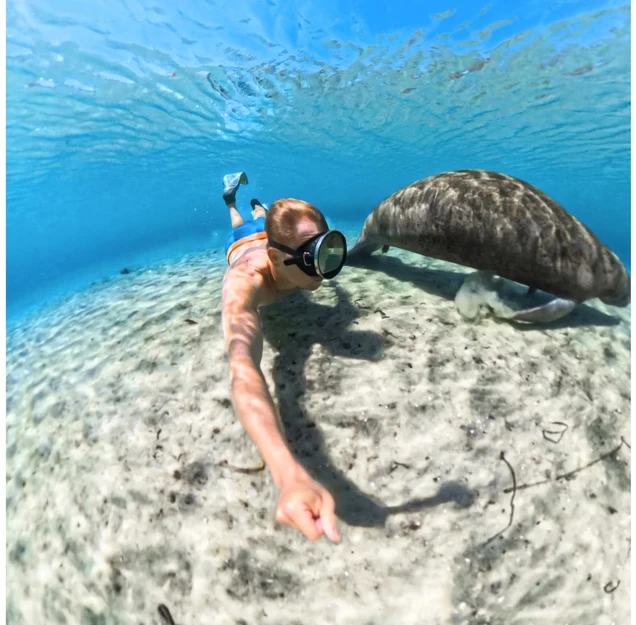 „Insta360 X5“ nematomas nardymo dėklas