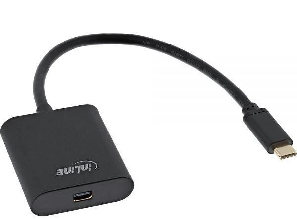 InLine USB-C į Mini DisplayPort perėjimas