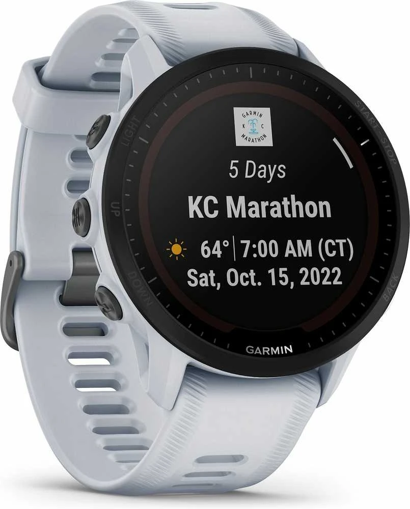 Garmin „QuickFit®“ 22 mm laikrodžio dirželiai Baltojo akmens spalvos silikonas