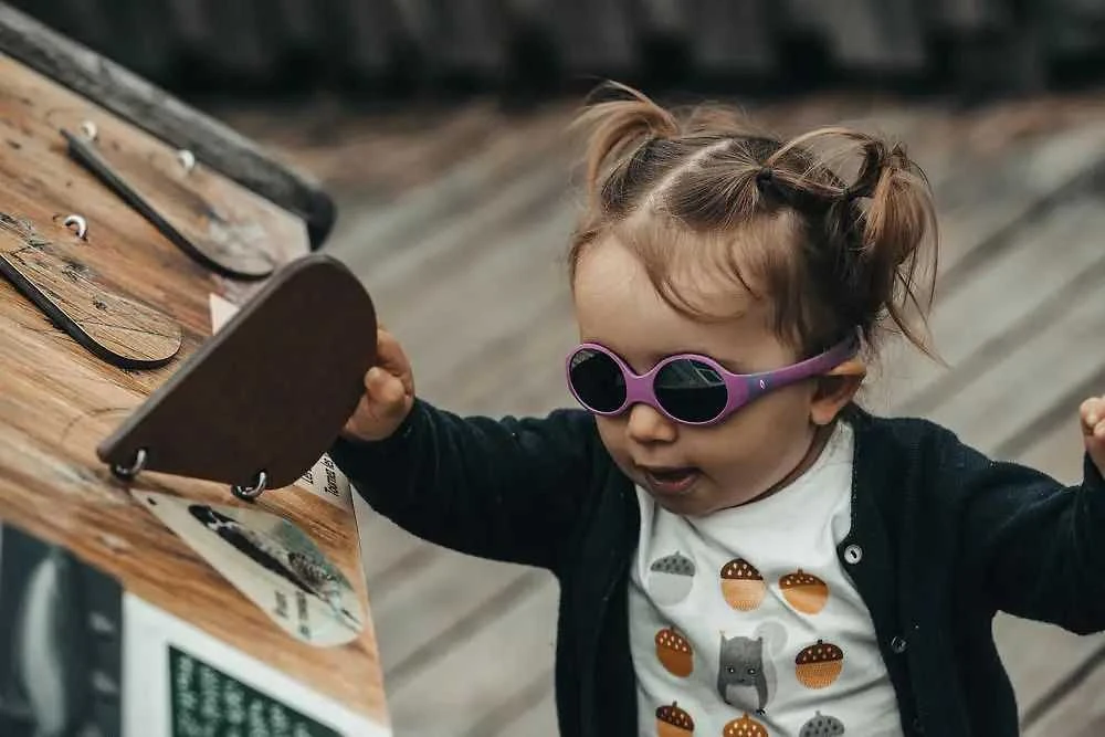 Julbo LOOP M -aurinkolasit, violetinė