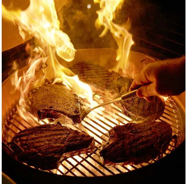 Kamado Joe sytytyspalat, 24 kpl