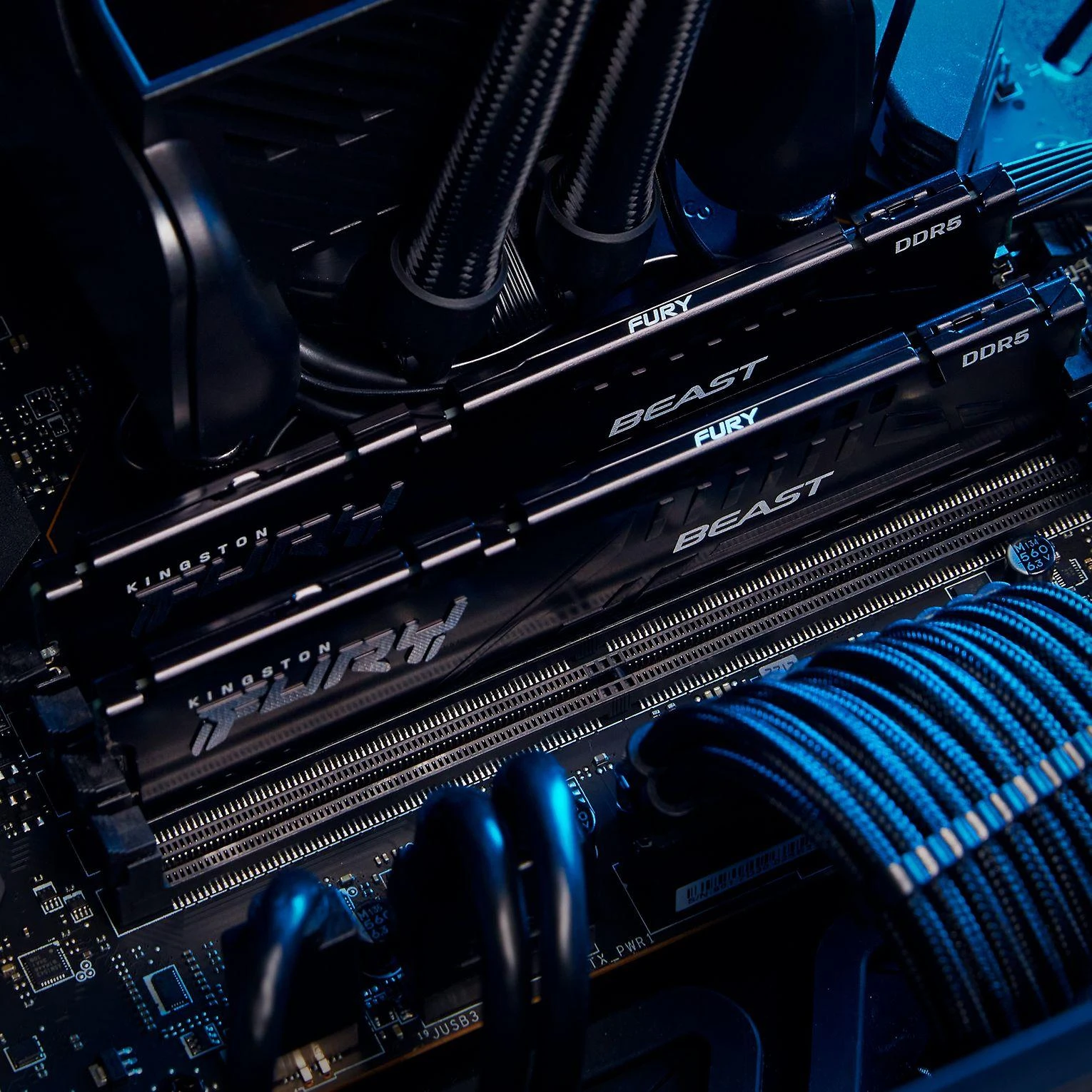 RAM Kingstonas | Fury Beast | 16 GB | DDR5 | 5600 MHz | PC/serveris | Registracijos Nr. | ECC Nr