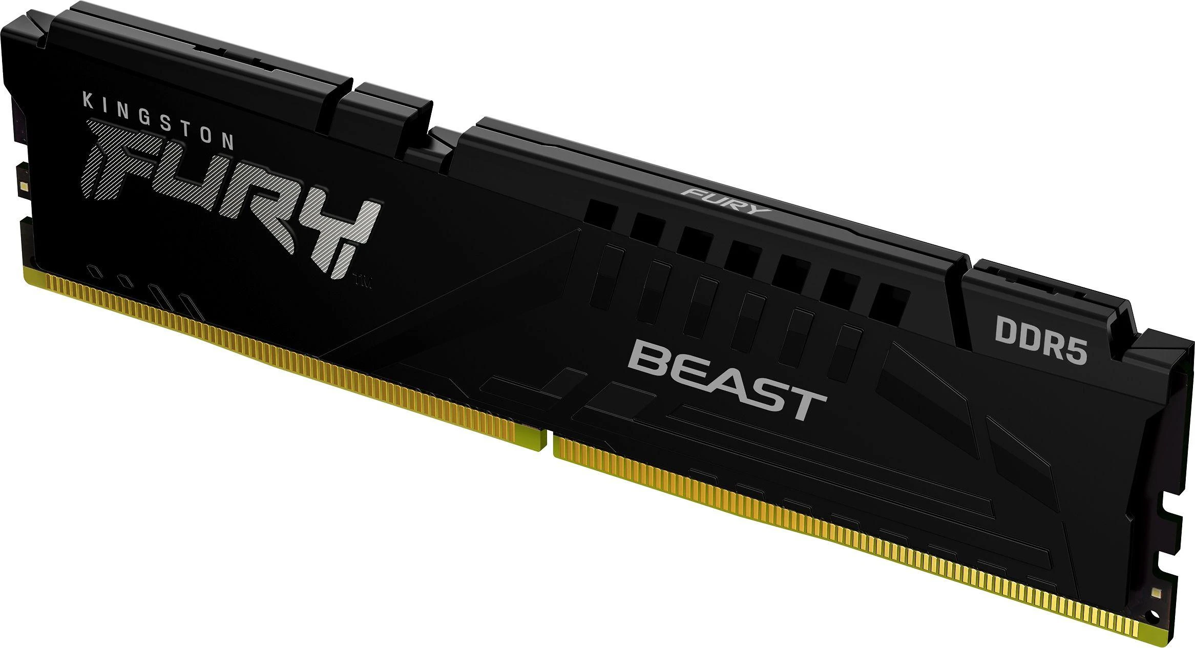 Kingston Fury Beast DDR5 atminties modulis
