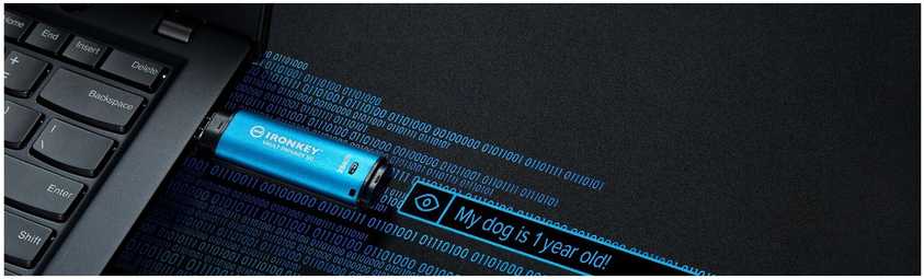 KINGSTON 16GB IRONKEY VAULT PRIVACY 50 AES-256 ENCRYPTED, FIPS 197