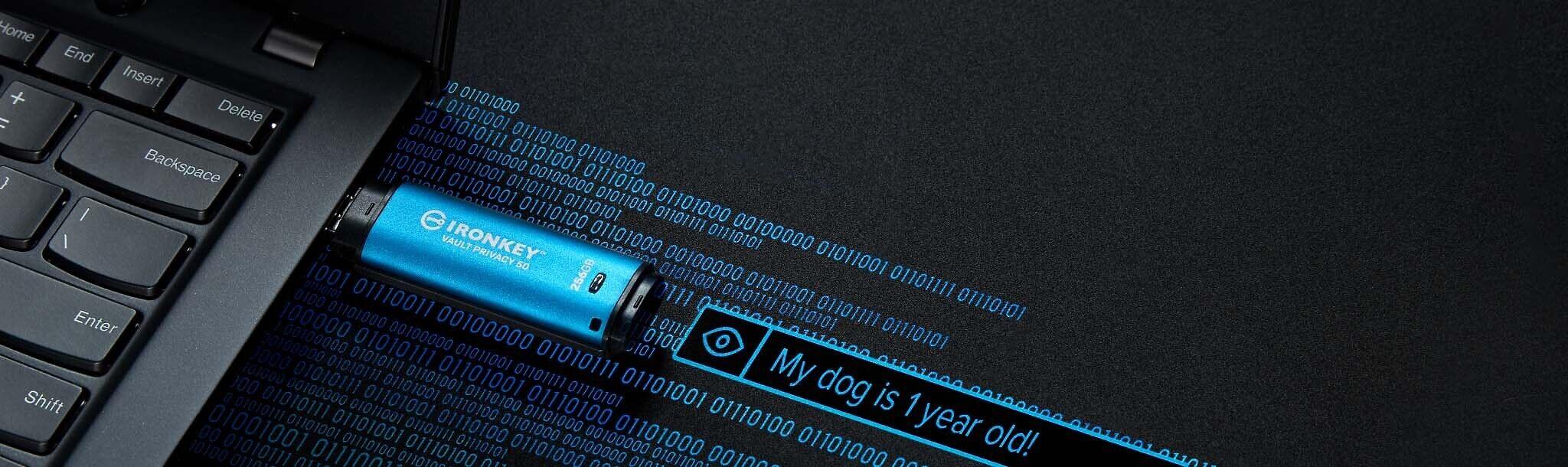 KINGSTON 16GB IRONKEY VAULT PRIVACY 50 AES-256 ENCRYPTED, FIPS 197