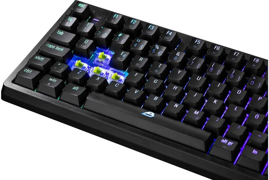 Klaviatūra Blackstorm Serenity TKL RGB mekaaninen pelinäppäimistö, musta