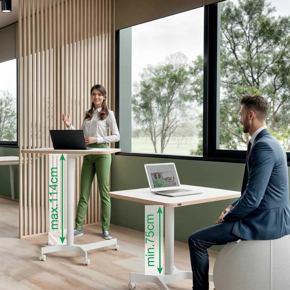 Leitz Ergo 65360001 balta
