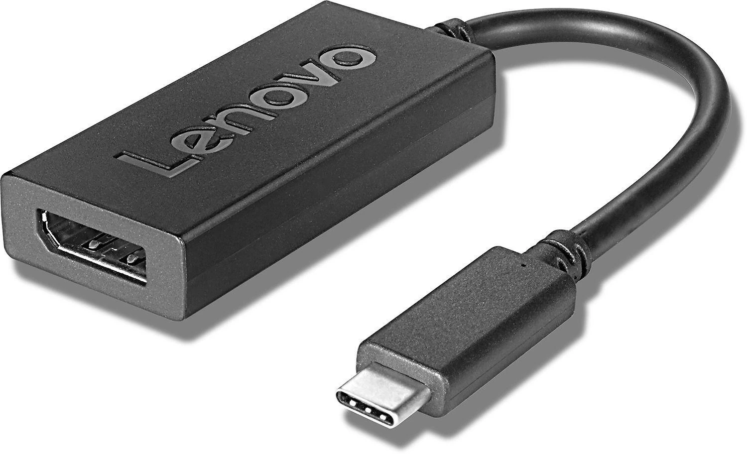 Lenovo | 4X90Q93303 USB-C prie DisplayPort | USB-C į Dp USB-C kištukas | DisplayPort