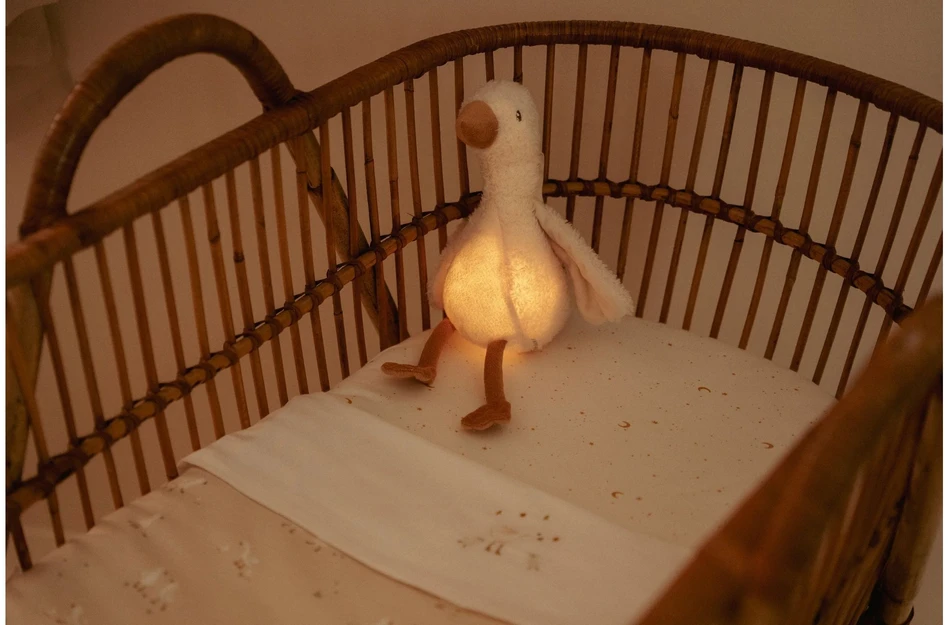 Little Dutch Pliušinė žąsis su šviesa ir garsu ´Newborn Naturals´
