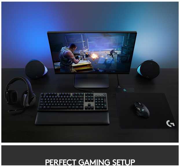 LOGITECH G502 LIGHTSPEED Belaidė pelė žaidimams - EWR2