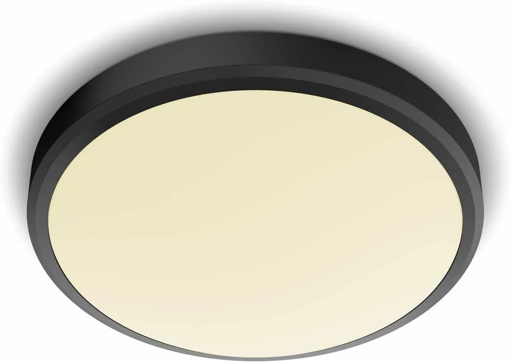 Lubinis šviestuvas Šviestuvas lubų Philips Doris, 17W, 2700°K, LED, juodas