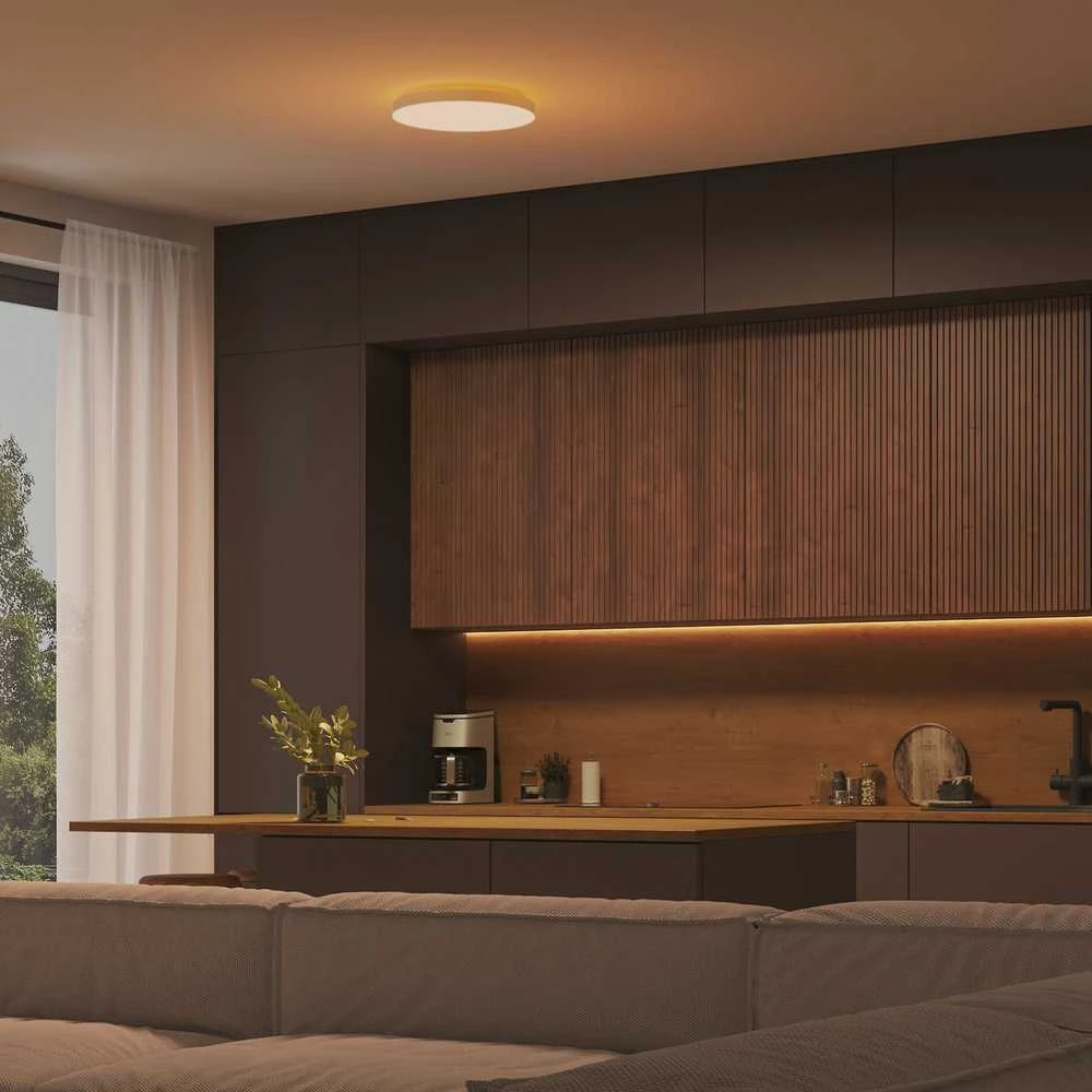 Lubinis šviestuvas Philips Hue balta ir spalvota aplinka „Datura XL“