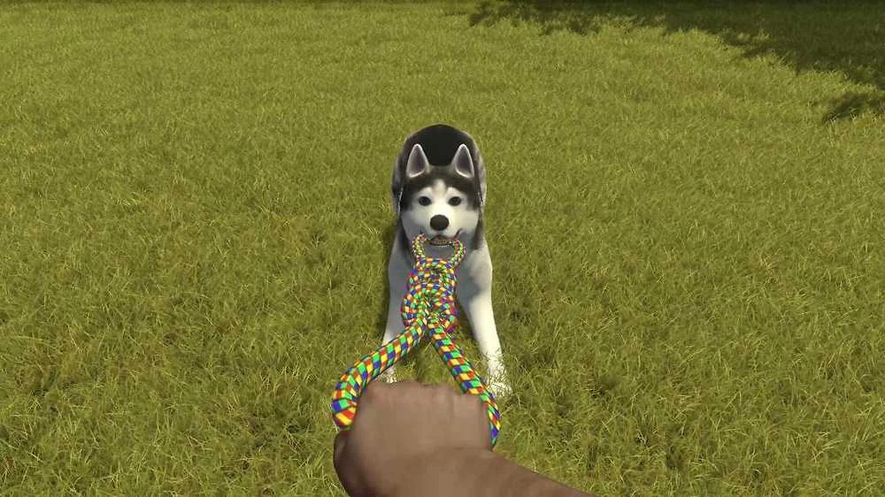 Merge Games Sujungti Games House Flipper: Pets Edition