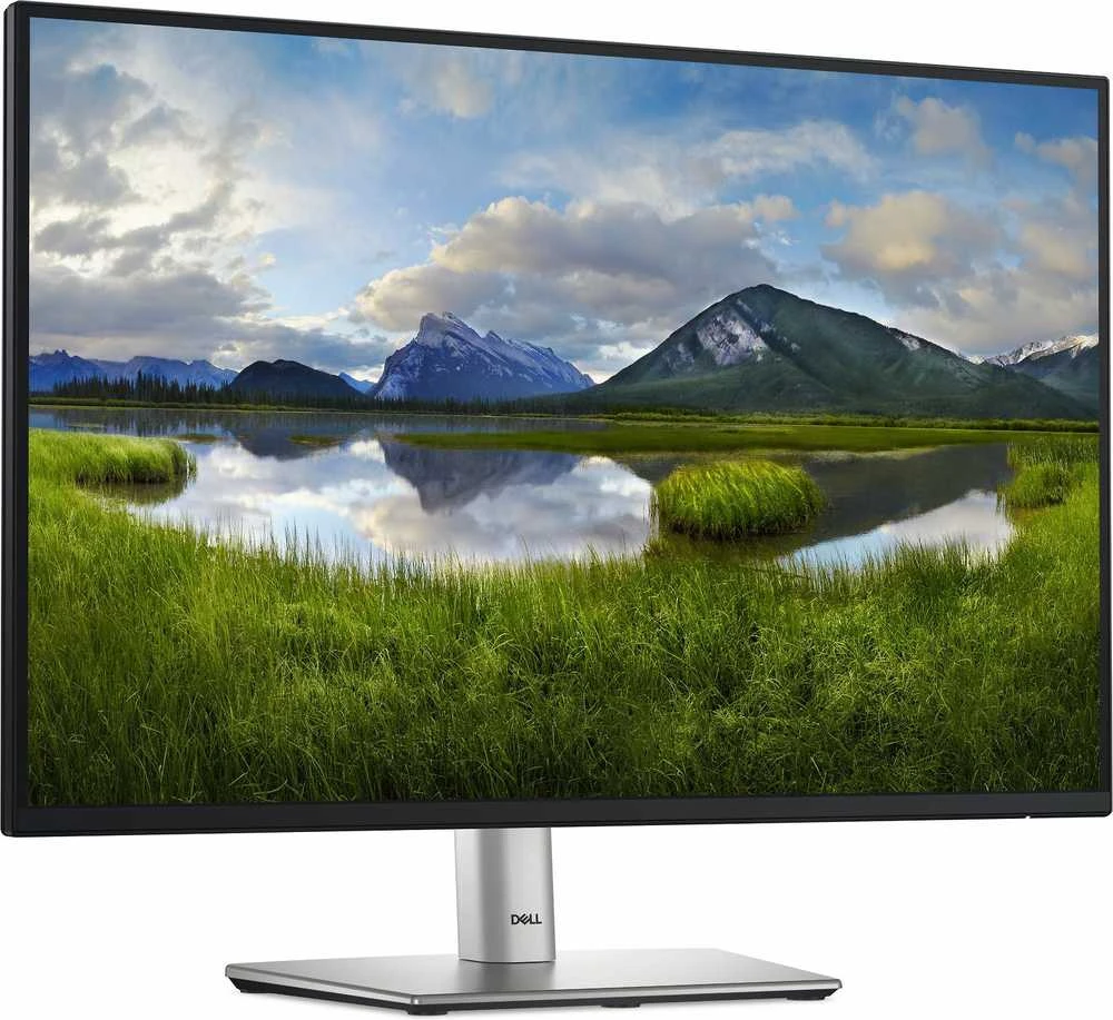 Dell 24 Monitorius - P2425, 61cm (24.0") (Pažeista pakuotė)