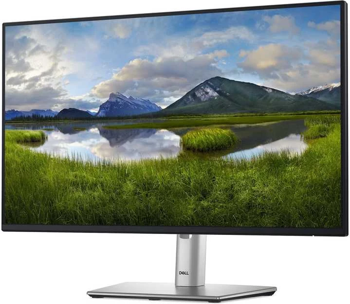 Monitorius DELL Pro Plus P2425H, 60.5 cm (23.8"), 1920 x 1080 pikselių, Full HD, LCD, 8 ms, Juodas