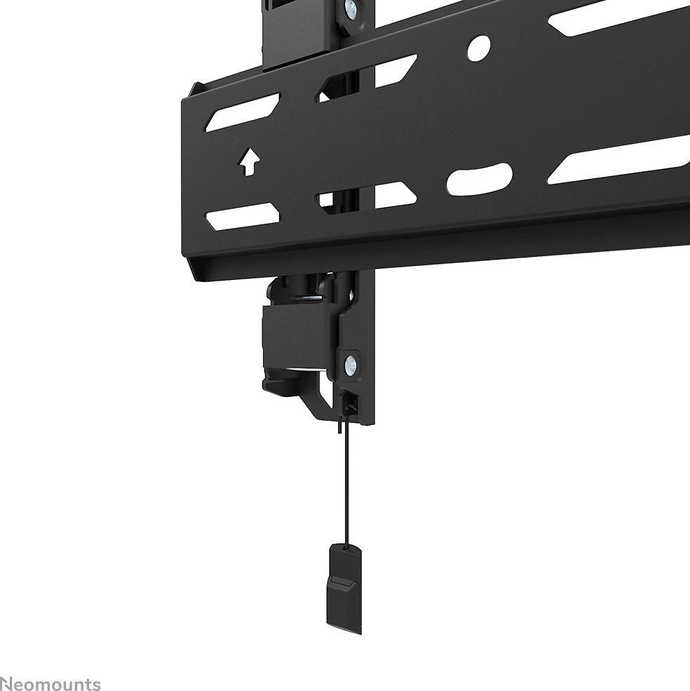 Laikiklis NEOMOUNTS SELECT SCREEN WALL MOUNT (FIXED, VESA 200X200)