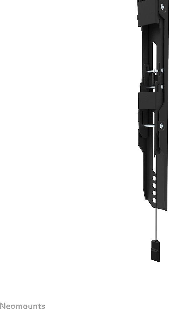 Laikiklis NEOMOUNTS SELECT SCREEN WALL MOUNT (FIXED, VESA 800X400)