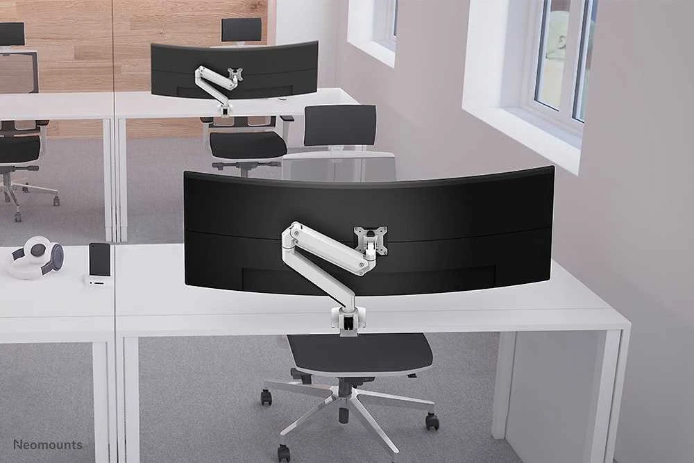 Laikiklis Neomounts Newstar NM-D775PLUS 124,5 cm (49") Gnybtas / varžtai Balta
