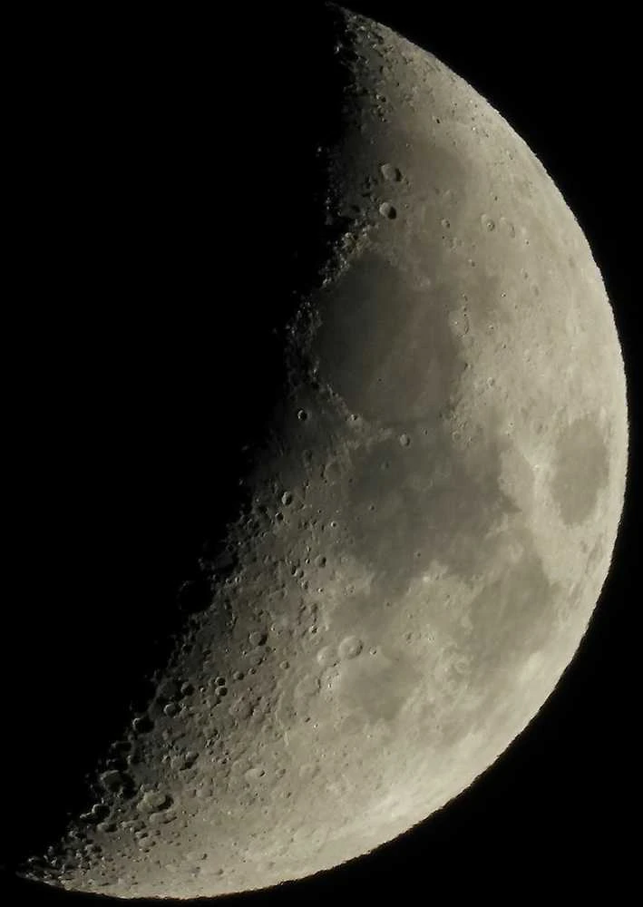 Nikon Coolpix P1100