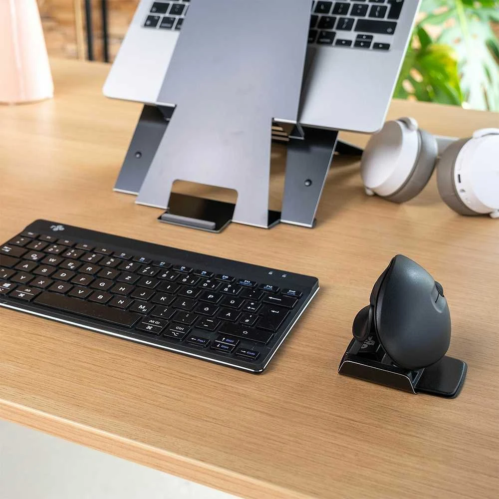 R Go Tools R-GO TWISTER ERGONOMISCHE MAUS - ERGONOMIC Pelė - su laidu/WIRELESS