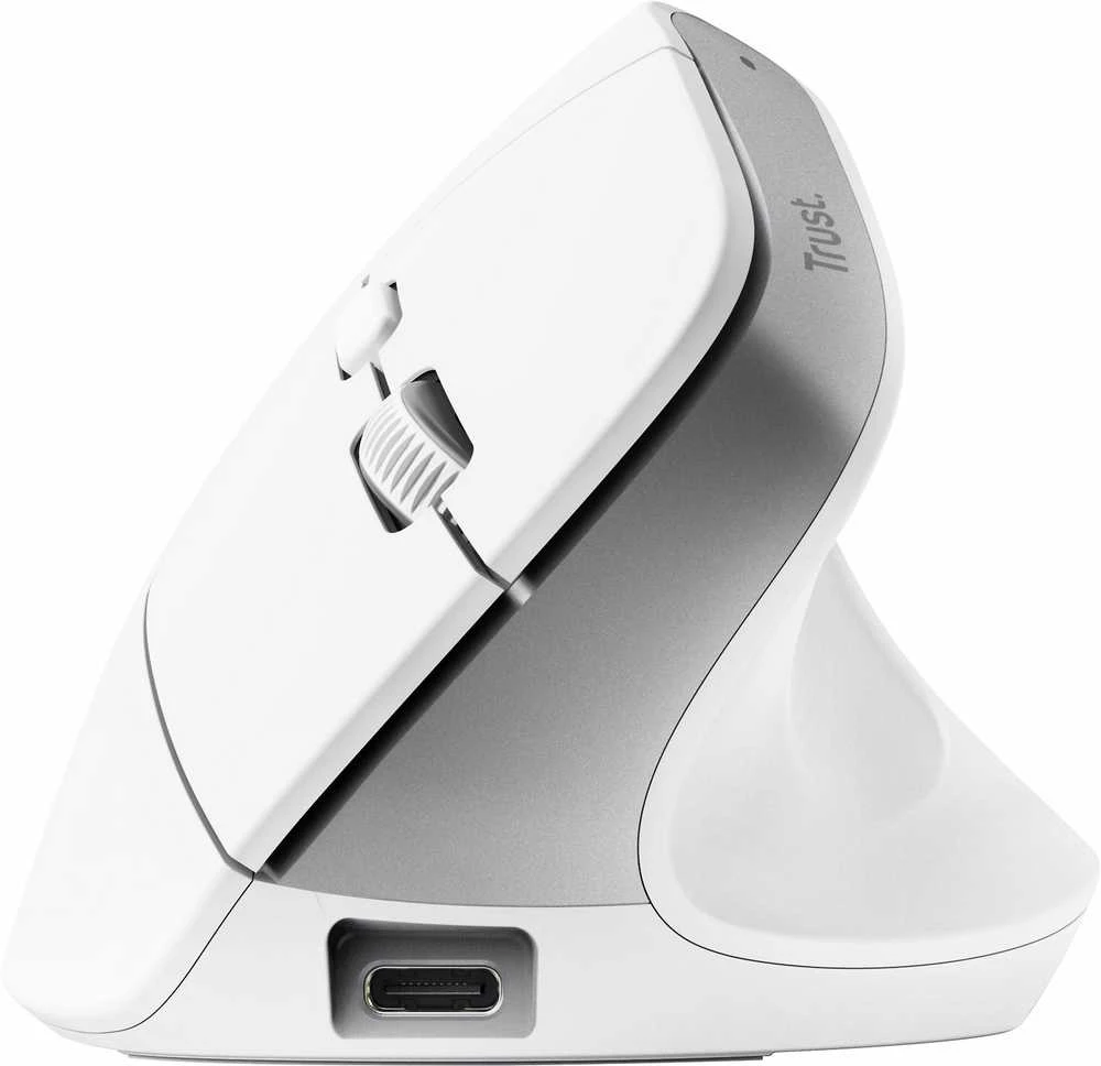 Trust Bayo+ pelė Office dešinei rankai RF belaidė + Bluetooth Optinė 2400 DPI
