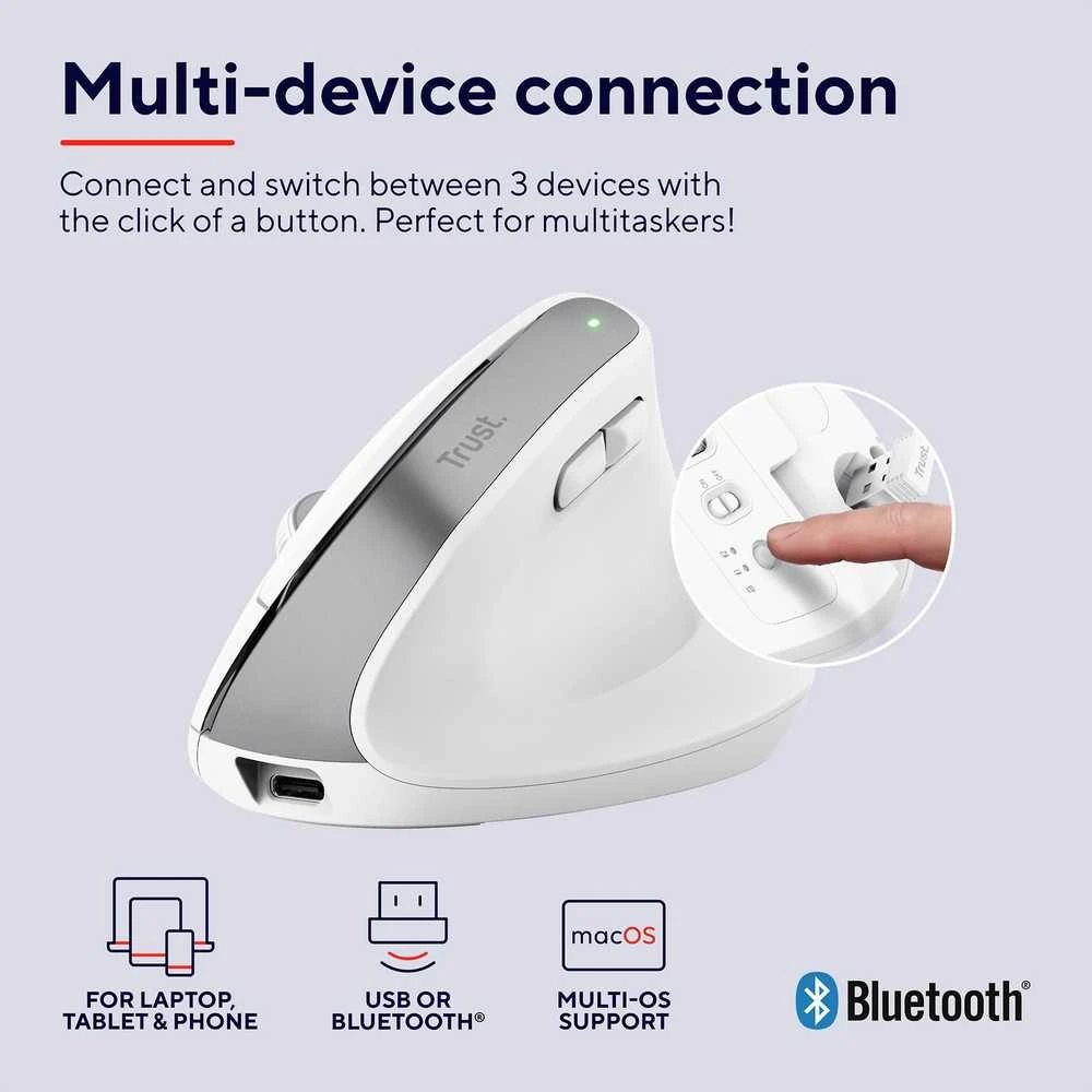 Trust Bayo+ pelė Office dešinei rankai RF belaidė + Bluetooth Optinė 2400 DPI
