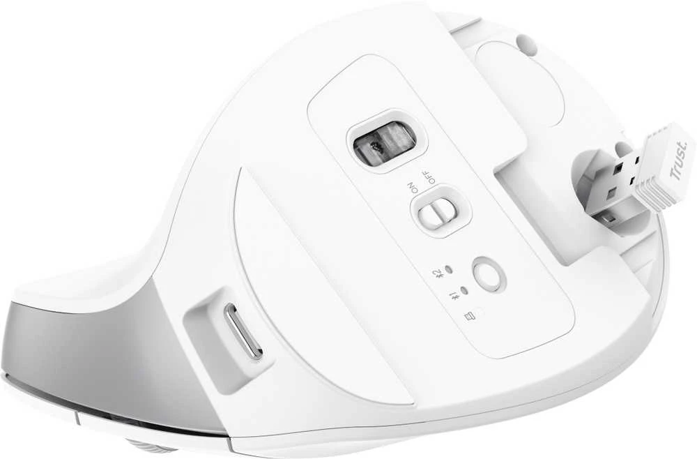 Trust Bayo+ pelė Office dešinei rankai RF belaidė + Bluetooth Optinė 2400 DPI