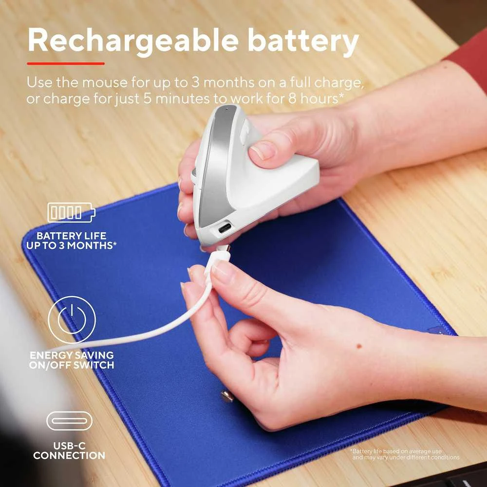 Trust Bayo+ pelė Office dešinei rankai RF belaidė + Bluetooth Optinė 2400 DPI