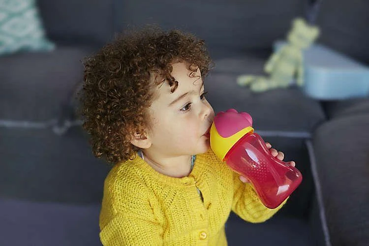 PHILIPS AVENT GERTUVĖ SU ŠIAUDELIU, 12 MĖN+, 300 ML, SCF798, Rožinis