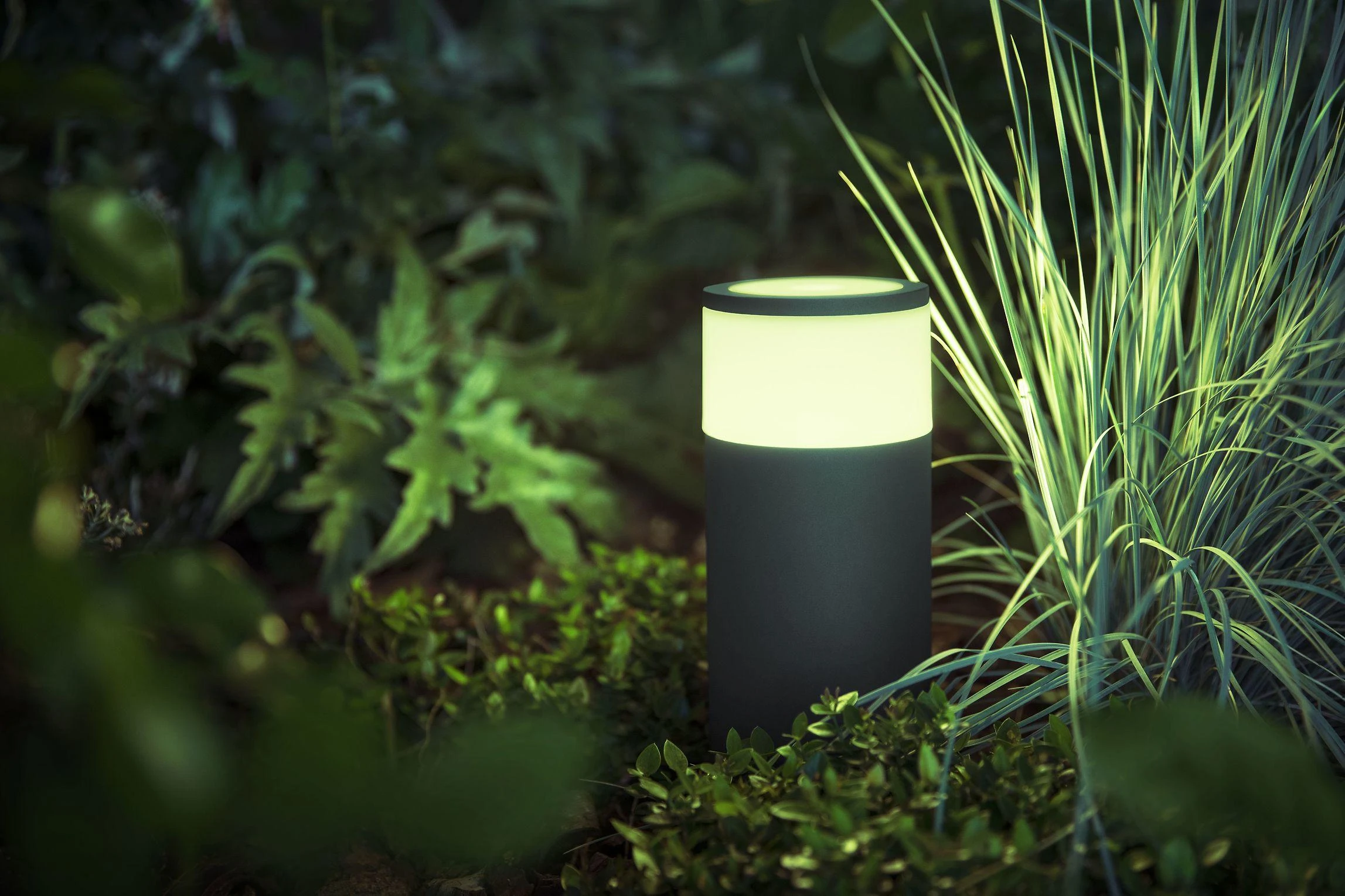 Philips Hue Baltas and colour ambience Lauko pagrindas „Calla“