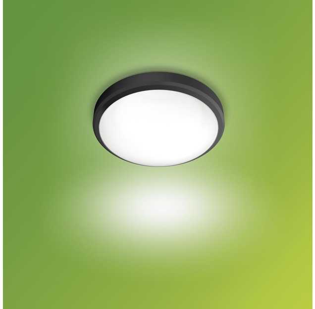 Lubinis šviestuvas Šviestuvas Philips Doris 929003190901, 6W, LED, IP54, juodas
