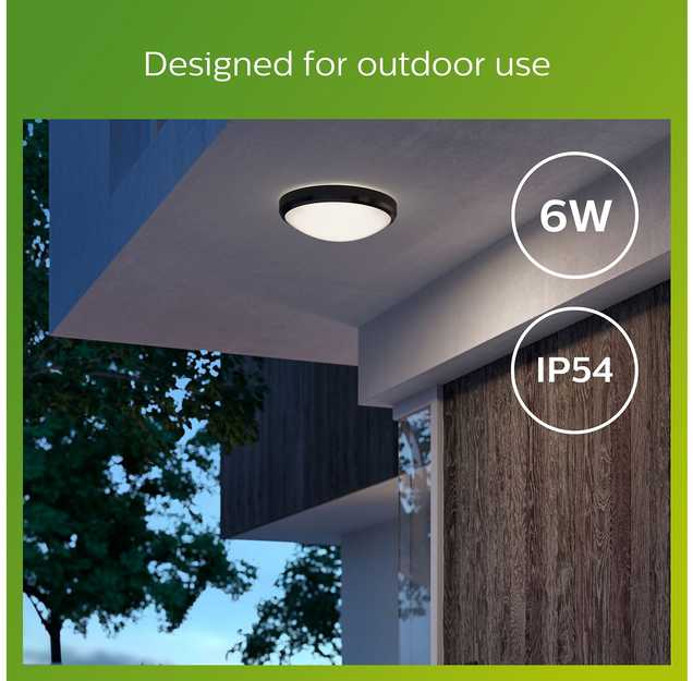 Lubinis šviestuvas Šviestuvas Philips Doris 929003190901, 6W, LED, IP54, juodas