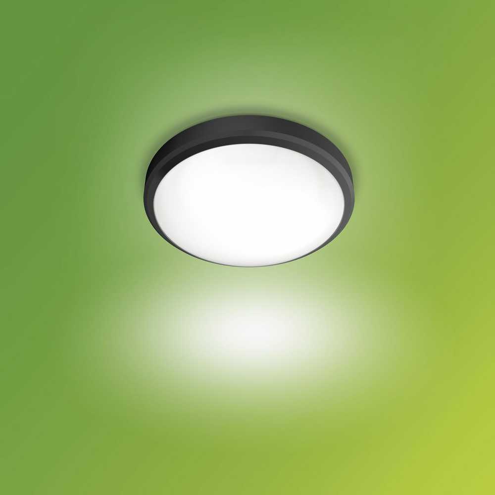 Lubinis šviestuvas Šviestuvas Philips Doris 929003190901, 6W, LED, IP54, juodas