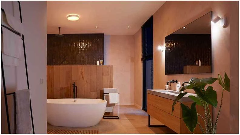 Lubinis šviestuvas Philips Hue Devere M lubos baltos